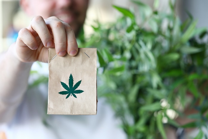 A Beginner’s Guide to Buying Cannabis