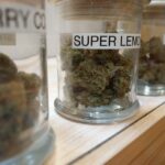 Cannabis Dispensary