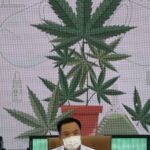 Breaking the Stigma: Pressure Groups Push for Legalisation of Recreational Cannabis Use
