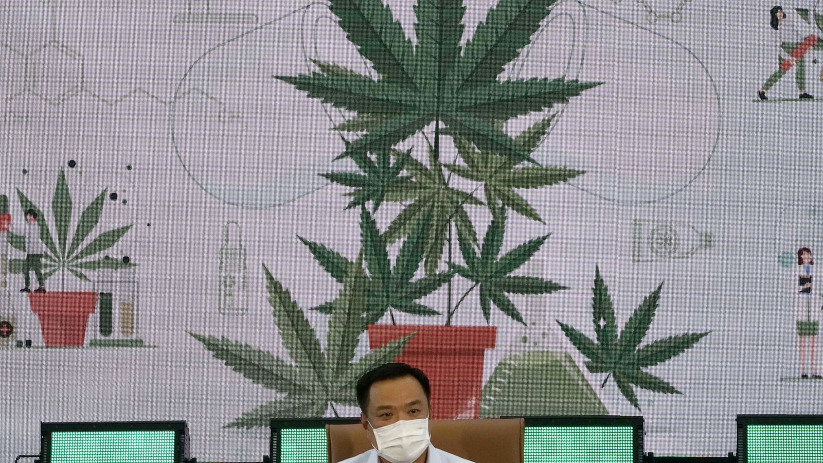 Breaking the Stigma: Pressure Groups Push for Legalisation of Recreational Cannabis Use
