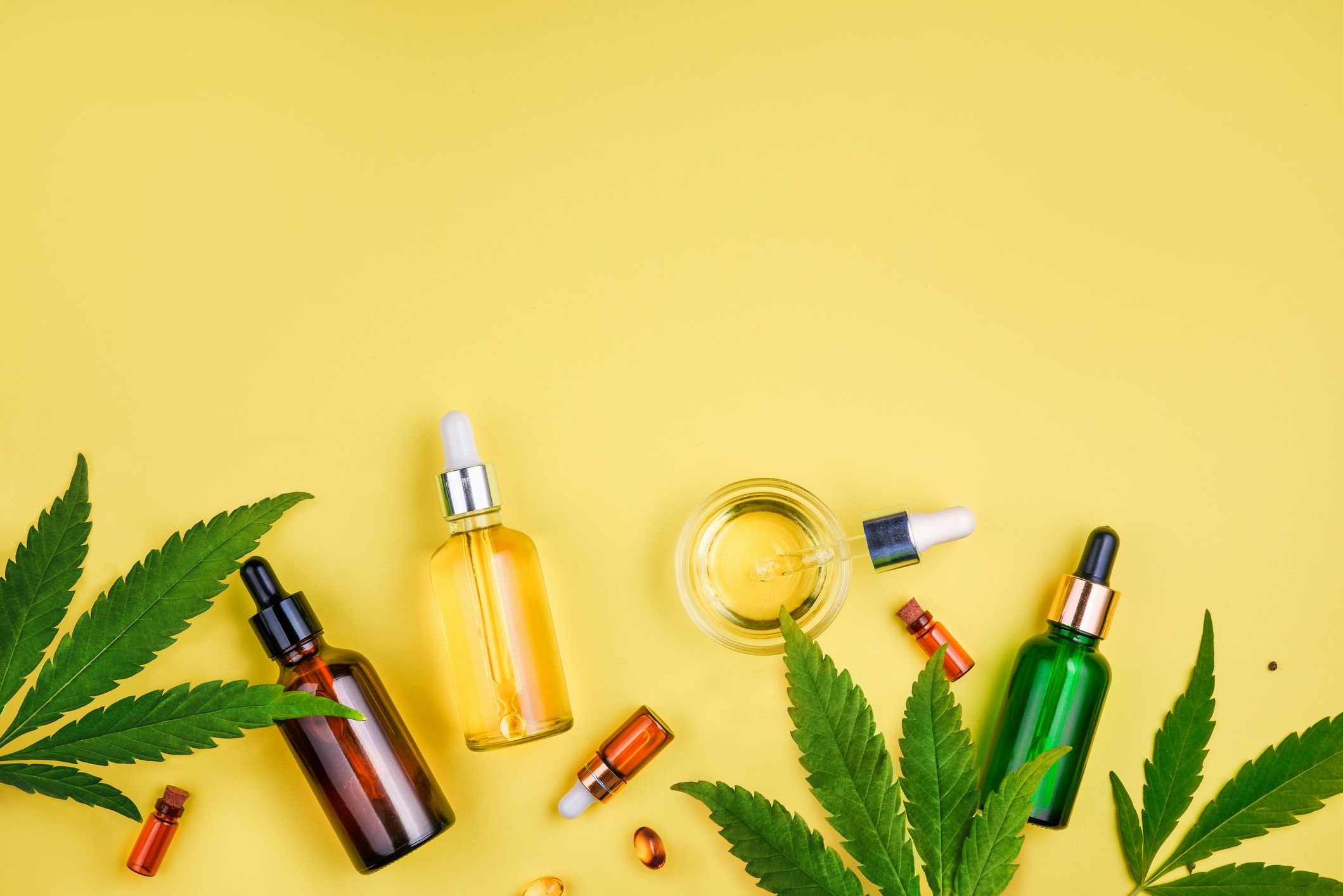 Has Science Revealed the Best Time to Extract CBD?